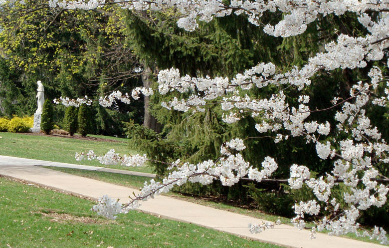 Marywood University Arboretum, United States